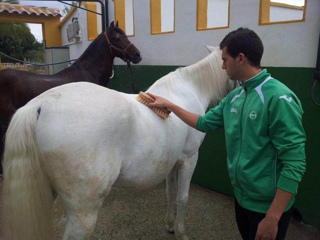 Cursos de Formación - Field&Horse