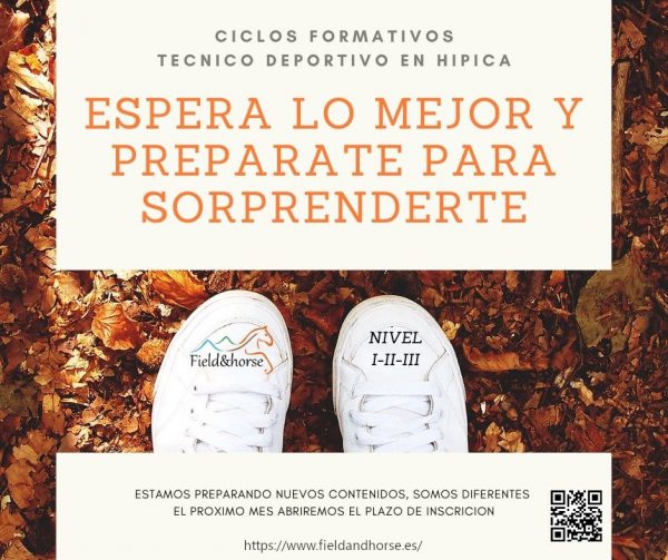 CICLOS FORMATIVOS TECNICO DEPORTIVO EN HIPICA