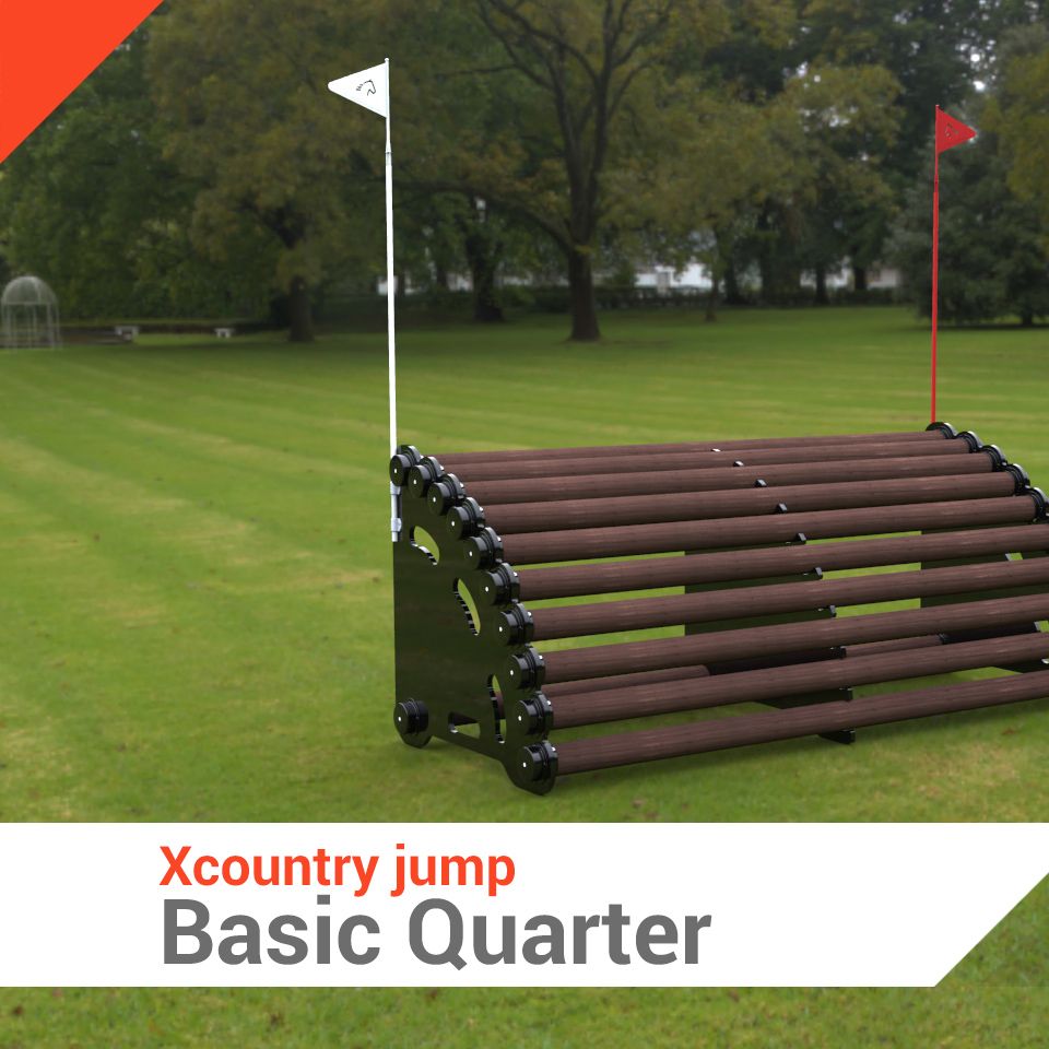 001-basic-quarter_resultado