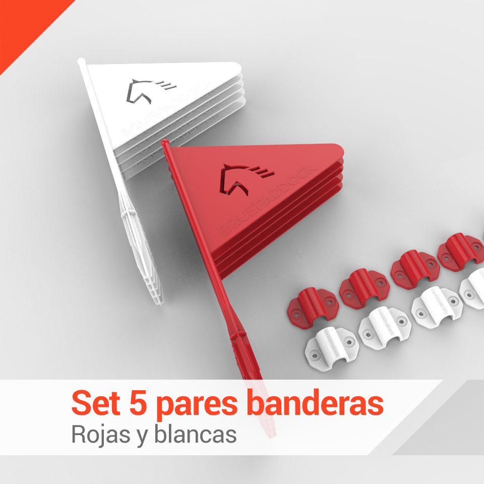 equs_bandera_resultado