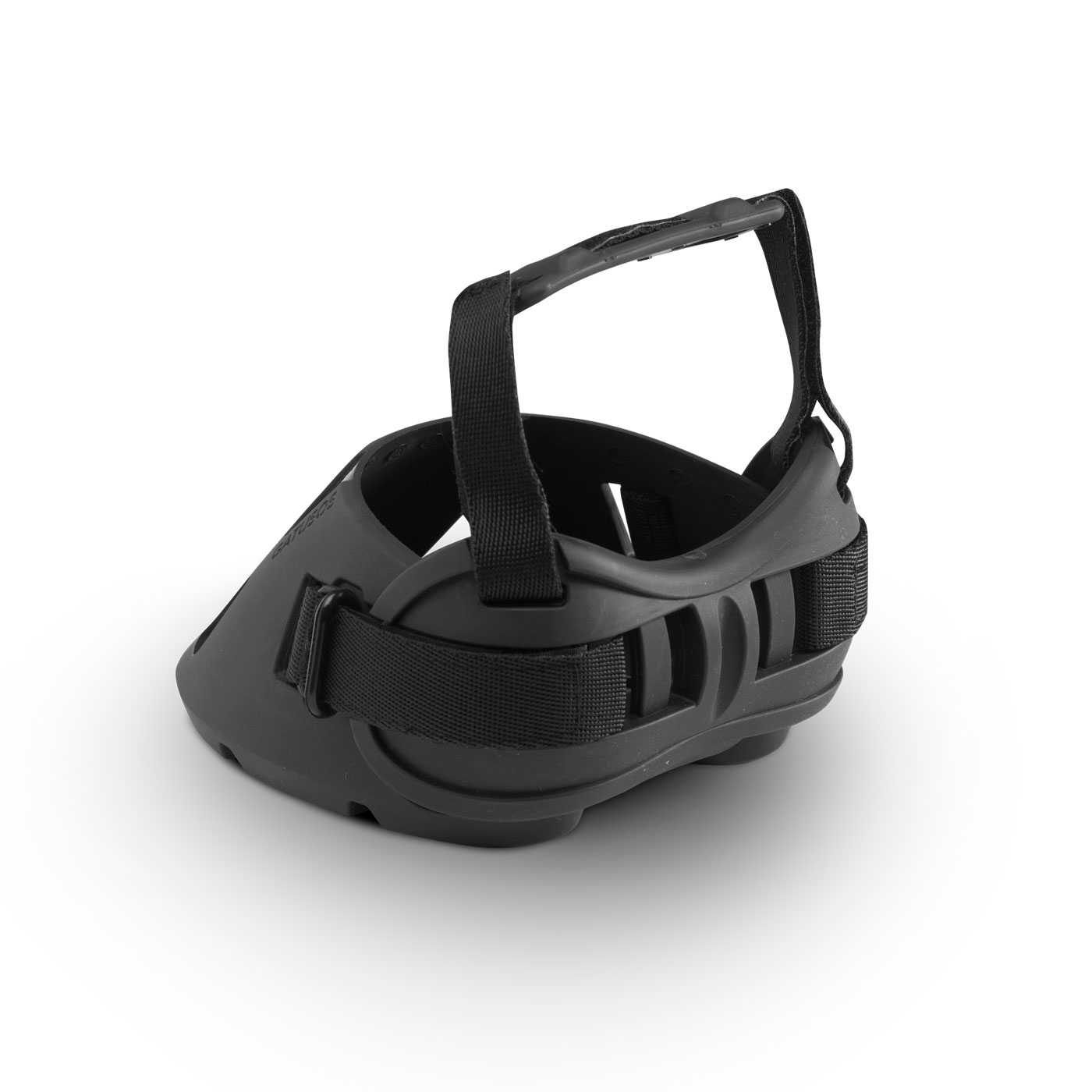 ZAPATO-GATUSOS-INTERIOR