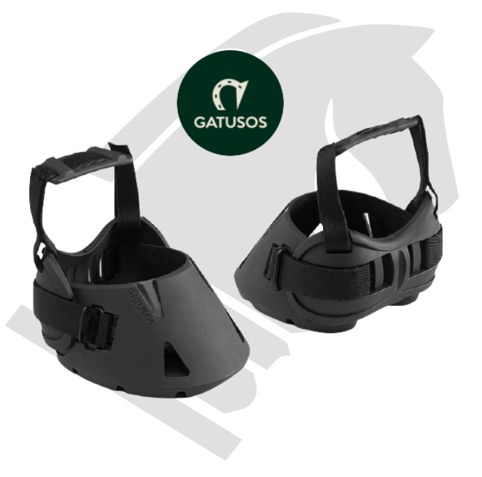 imagen_2022-01-21_175536