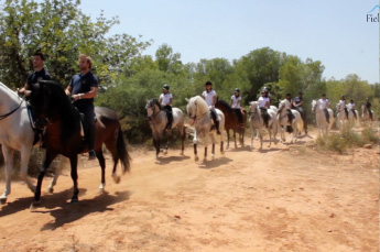 Quiénes somos Field and Horse