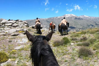 Quiénes somos Field and Horse