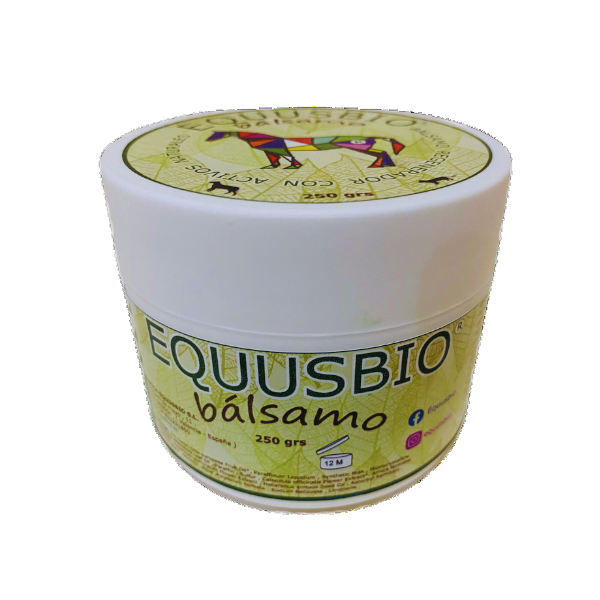 imagen_2023-11-28_133511797