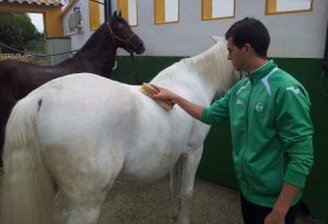 Cursos de Formación - Field&Horse