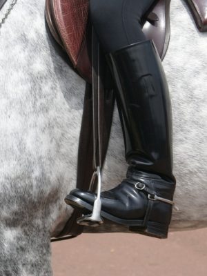 horse-241957_1280-1024x684