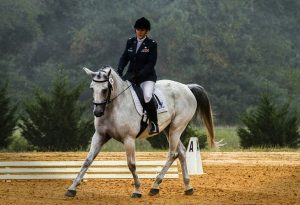 Cursos de Formación - Field&Horse