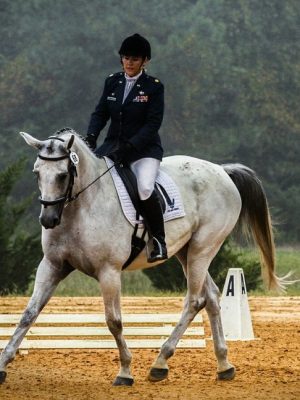 Cursos de Formación - Field&Horse