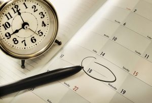 Cursos de Formación - Field&Horse